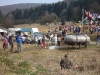 Cupa Postas 2009 Etapa I