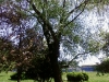 Cupa 1 mai 01.05.2010 – Baia Mare