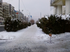 Crosul Anului Nou 02.01.2011 – Baia Mare