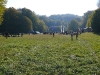 Cupa Eger 29-30.10.2011 - Ungaria (Orientare)